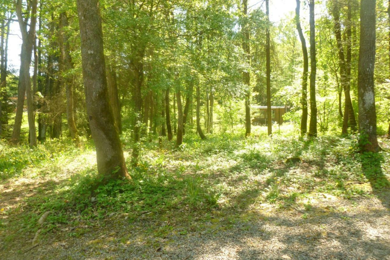 A l’orée du bois Érezée Esterno foto